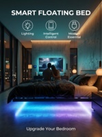 Cadre de lit flottant à LED RGB, support robuste, rechargeable, durable, réglable, extensible, portable, pliable, lit double en acier