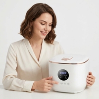 Autocuiseur de riz WT-A12-3.0L 500W en acier inoxydable avec cuve antiadhésive, affichage numérique LED, pour repas faibles en sucre, maintien au chaud 8h pour usage domestique