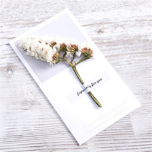 C-32 Nuevos Estilos de Tarjetas de Felicitación con Flores Secas - Product Image 6