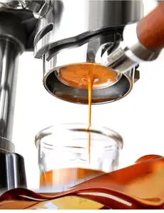 Machine à café manuelle à pression Variable, cafetière professionnelle, expresso instantané tout-en-un, Machine à café