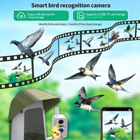 Mangeoire à oiseaux solaire intelligente avec caméra HD, batterie 5200 mAh, étanche IPX5, reconnaissance IA pour oiseaux de jardin extérieur