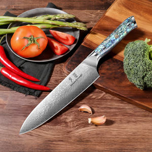 Couteau de chef Homeful Damascus Guyto, couteau de cuisine, acier VG10 67 couches, ambidextre, 8-9,9 pouces, lame droite avec manche en acrylique - Product Image 2