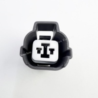 Kit de Conectores de 2 Pines Serie HW, Gris, Hembra y Macho, Enchufe Automotriz USB Tipo 6189-0129