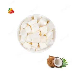 Wholesale Low Fat Freeze Drying Coconut Freeze-Dried Coconut