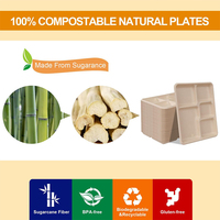 Plateau alimentaire jetable en bagasse de canne à sucre, multi-compartiments, compostable, biodégradable, assiette divisée, restauration, à emporter, logo personnalisé