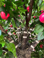 Kunstmatige Grote Boom Grote Appelbomen Gigantische Faux Vruchten Boom Voor Super Markt En Huisdecoratie