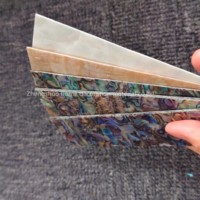 Vente en gros de coquillages naturels nacre et coquille d'ormeau, blancs, pour l'artisanat, les bijoux et les incrustations de meubles, tables et sols