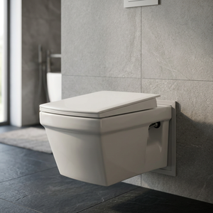 Productos sanitarios de cerámica estándar europeo de alta gama, inodoro de pared sin montura Crenza de dos piezas, inodoro EWC, artículos sanitarios indios - Product Image 1