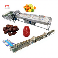 Nettoyeur industriel Gelgoog Citrus Cleaner pour machine à laver les oranges avec brosse à rouleaux