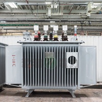 S11 S13 fabricant professionnel 35kv haute tension triphasé 1600kva 11kv 10kv transformateur de puissance immergé dans l'huile