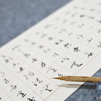 Ensemble de pinceaux écologiques pour artistes, outils de peinture durables