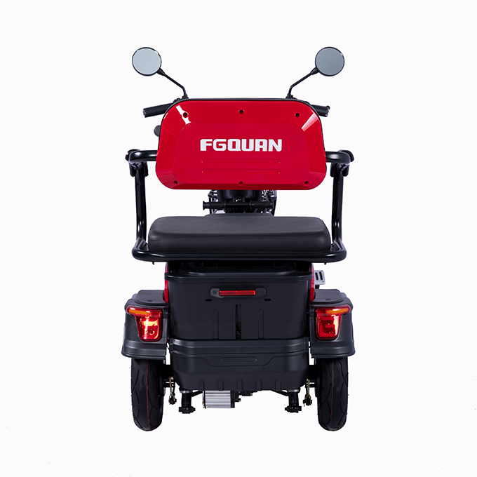 FGQ Cheap Price Leisure Small Electric