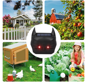 Nouvel Arrivée Lumière Bleue Flash Rat Répulsif Artefact Énergie Solaire Ultrasonique Répulsif Animal pour Repousser Les Chiens Et Les Loups, Rat - Product Image 3