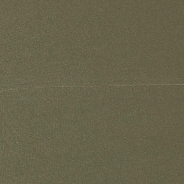 กองทัพสีเขียว