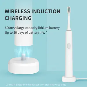 Stock Fast Delivery Portable White Rechargeable Toothbrush IPX7 Cheap Electric Toothbrush For Household