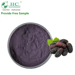 Natural Mulberry Fruit Powder Morus Alba Fruit Extract With Anthocyanidins 25%