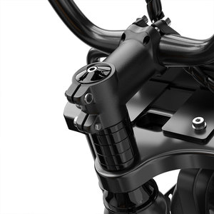 Vélo électrique tout-terrain 20 pouces, stock UE, livraison rapide, 48V 35Ah 250W, moteur arrière puissant, avec siège arrière et panier avant - Product Image 3