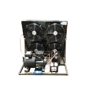 Ventas calientes 5hp 8hp 10Hp 12hp Compresor de unidad de refrigeración de cámara fría integrado plano para almacenamientos fríos de congelador rápido