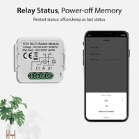 TYSH Matter Mini 10A/16A Saklar Lampu Pintar Wifi Nirkabel Berfungsi Dengan Alexa/Google Assistant Modul Universal DIY untuk Rumah Pintar