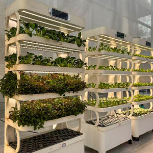 Nouveauté Système de culture hydroponique verticale aquaponique intelligent multi-couches en ABS blanc pour les herbes/légumes-feuilles - Product Image 4