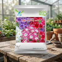 Graines d'iris hybrides Iris Phlox Star Mix, graines de fleurs pollinisées par voie naturelle, 300 graines, plantes buxues importées, couleurs mélangées, jardinage, semis.