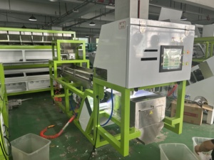 Belt Sorter <strong>Machine</strong> To <strong>Sort</strong> Unpeeled <strong>Garlic</strong> And <strong>Sorting</strong> Unpeeled Black Spots <strong>Garlic</strong> In <strong>Garlic</strong> Cleaning And Processing Line - Product Image 5