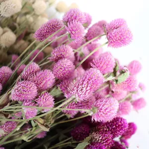 Vente en gros d'usine de fleurs séchées d'amarante rose et blanche, bouquet de fleurs séchées pour la décoration de la maison, bouquet de fleurs séchées DIY - Product Image 3