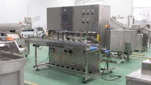 8-16 kafaları endüstriyel Papya Pawpaw <span class=keywords><strong>Mango</strong></span> soyucu makinesi ile gıda sınıfı konveyör kemer - Product Image 6