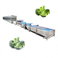 Machine à laver et à peler les pommes de terre, type brosse, pour le lavage et l'épluchage du gingembre, destinée à la transformation des fruits et légumes
