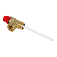 Válvula de Alivio de Presión y Temperatura de Latón de Alta Calidad de 1/2 Pulgada para Calentador de Agua, con 1 Año de Garantía, Marca OEM