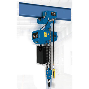 Polipasto de cadena eléctrico de viaje, 3t, 4t, 2t, Monorail - Product Image 2