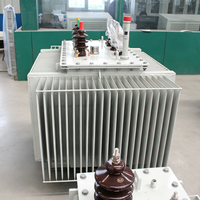 Transformateur de distribution électrique triphasé immergé dans l'huile, 300, 600, 700, 800, 1000 KVA, 10, 11, 33 Kv, 400 V, abaisseur/élévateur de tension