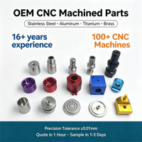Service d'usine OEM CNC : Pièces sur mesure en aluminium, laiton et acier inoxydable pour instruments médicaux