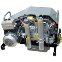 Compresseur d'air portable sans huile à piston, haute pression, 5,5 kW, alimenté en courant alternatif, idéal pour la plongée sous-marine, à prix avantageux