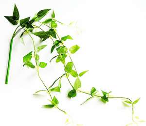 Plante Artificielle Mignonne Nouveauté 2026 pour Décoration de Plafond, Abri de Jardin, Rangement Extérieur et Aménagement Décontracté - Product Image 6