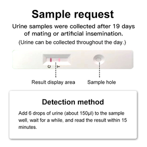 HCG Porco Gravidez teste Faixa Animal Teste Gravidez Eliminação Seringas Teste rápido Papel Kit Instrumento Veterinário - Product Image 6