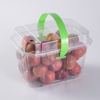 Boîte en plastique transparente de récipient d'emballage alimentaire de boursouflure d'animal familier écologique fait sur commande raisin fraise fruit