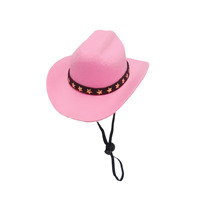 Chapeau de cowboy occidental miniature pour chat et chien, idéal pour Halloween et Noël, accessoire décoratif en polyester