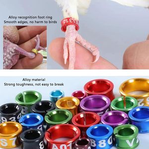 Tijgerhuid Papegaaienpoot Vogelring met Gegalvaniseerde Legering Gesloten <span class=keywords><strong>Ring</strong></span> Vogelring Lasergraveermachine voor Vogels - Product Image 2