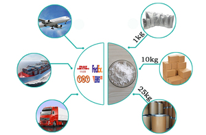 Extracto de Andrographis <span class=keywords><strong>Paniculata</strong></span> en Polvo a Granel de Alta Pureza con 5-98% de Andrographolide, Personalización OEM/ODM B2B - Product Image 3