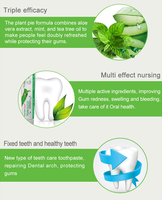 Dentifrice personnalisé aux herbes et à l'aloe vera, essence végétale blanchissante, anti-gingivite, haleine fraîche, soin buccal, usage domestique, OEM personnalisé