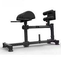 SENFENG SPORTS Équipement de gymnastique de fitness de haute qualité Chaise romaine Glute Drive Hip Back Extension Sit-Ups Muscle up Glute