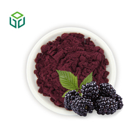 Jiuyuan Voedingsmiddelkwaliteit Gefreeze-droogd Zwarte Bes Fruitextract Poeder met Anthocyanine Verpakking in Fles/Blik/Vat