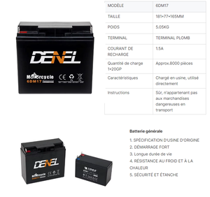 <span class=keywords><strong>Batterie</strong></span> <span class=keywords><strong>moto</strong></span> DENEL 6DM17 <span class=keywords><strong>12V</strong></span> <span class=keywords><strong>17Ah</strong></span> AGM au plomb, plaques épaissies, nouvelle, courant de démarrage 300A pour tricycle, scooter, VTT - Product Image 6