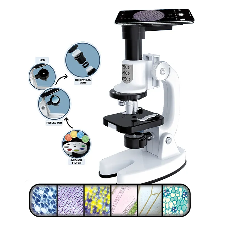 Kit de microscopio biológico educativo para niños, juguetes de Ciencia de aplicaciones, microscopio portátil, juguete