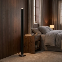 Diffuseur d'arômes de luxe pour la maison, diffuseur d'huiles parfumées électronique automatisé, nébuliseur de parfum 100 ml, diffuseur d'arômes, rafraîchisseur d'air pour la maison
