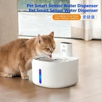 Fontaine à eau intelligente rechargeable pour animaux de compagnie, système de filtration, circulation automatique, design carré pour chats, acier inoxydable 304