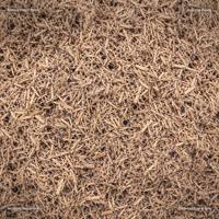 Substrat de lit pour reptiles en écorce bioactive, hydratant et respectueux de l'environnement, pour terrariums de serpents, lézards et tortues, favorisant la chaleur.