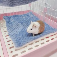 Ensemble de 3 accessoires doux et chauds pour petits animaux : hamac double couche, tunnel, maison et coussin pour petauh, furet, cochon d'Inde