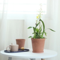 Pots à fleurs écologiques en ciment pigmenté de style vintage avec soucoupe pour la décoration de la maison et du jardin